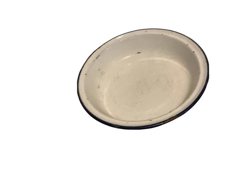 Old Vintage White Enamel Bowl Garden Planter French Dog Bowl Cottagecore Cover