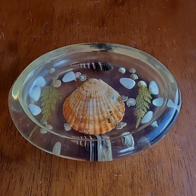 Jabonera ovalada vintage de resina Lucite concha marina real concha marina Foto 1 de 4