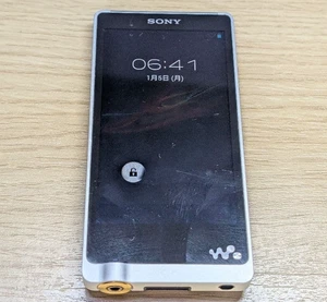 SONY WALKMAN NW-ZX1 MP3 128GB Lettore Portatile Alta Risoluzione ZX Testato - Foto 1 di 7