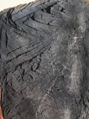 Piedra lapidaria áspera Ouray negra de 5”x3,25”x1/2” 264 g Foto 1 de 4