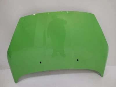 2014 2015 2016 2017 2018 2019 FORD FIESTA Hood GREEN Foto 1 de 4