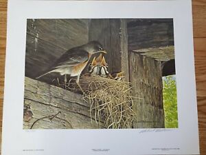 Robert Bateman 'Robins At The Nest' Signed Numbered Print 94/950 Unframed Art.