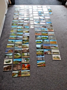 118 Garden Scene Photo Picture Postcards Collectables - Picture 1 of 9