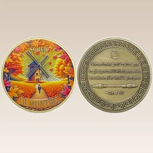 AA 10-Month Sobriety Coin Alcoholics Anonymous Recovery Medallion Sobriety Gift - Picture 1 of 10