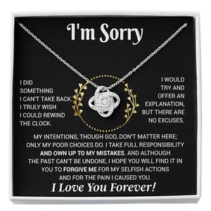 I'm Sorry Necklace Gifts, Apology Gifts For Her, Forgiveness Gift, Wife Gift - Picture 1 of 13