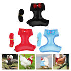  3 Sets Cloth Chicken Vest Hen Leashes and Harnesses Pulling Rope for Pet