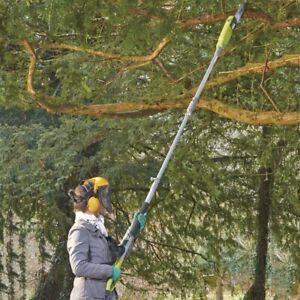 Telescopic Pole Chainsaw Long Reach Electric Tree Pruner Trimmer Branch Cutter