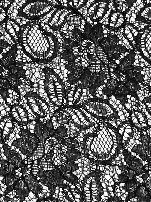 Floral  Lace Fabric  Special Occasion  Black Netting No Border By the Yard     - Image 1 of 3