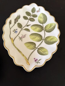 Royal Worcester Blind Earl ovale überbackene Schale Nachlass Artikel über zehn Zoll - Bild 1 von 20