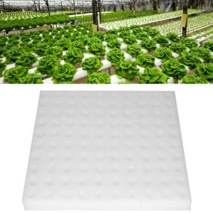 Hydroponic Sponge, 100Pcs Hydroponics Seed Growing Media Sponges Pl ng Garden... - Picture 1 of 8