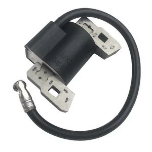 Modulo bobina di accensione per motori Briggs & Stratton 5 HP 100201 100202 130201 130202 - Foto 1 di 6