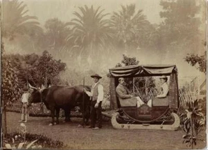 1880er Jahre Souveniralbum mit Originalfotografien von Madeira, großes Panorama - Bild 1 von 8