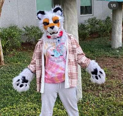 Fursuit Lion parcial — com arte, colarinho, adereço - Imagem 1 de 4