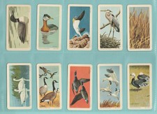 BIRDS  -  BROOKE BOND CANADA  -  SET  OF  48  BIRDS  OF  NORTH  AMERICA  -  1962