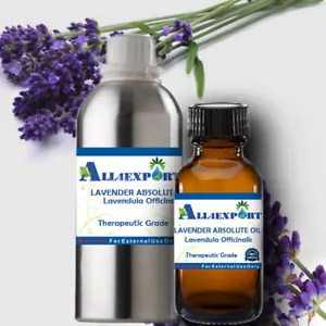 REINER LAVENDEL ABSOLUTE Lavendula officinalis NATURKRÄUTER - Bild 1 von 30