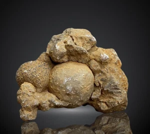 403Gr Genuie Gogotte pietra arenaria calcestruzzo esemplare minerale grezzo - Foto 1 di 8