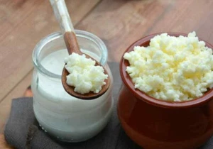 Premium Organic Milk Kefir Grains 1 Tbl Spoon - Registered Post - Picture 1 of 1