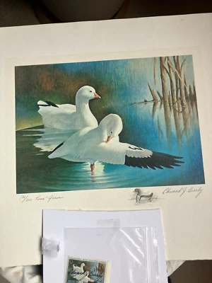 RW37 Federal Duck Stamp Remarque Print - Ross Geese - Edward Bierly A.S. stamp - Image 1 of 4