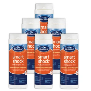 BioGuard Smart Shock Pool Chlorine 2 lb bottles - 6 Pack - Picture 1 of 1