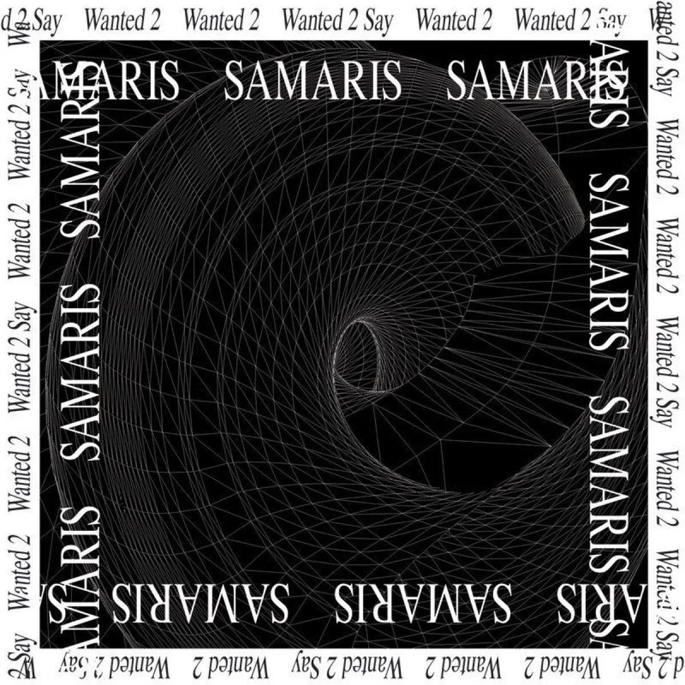 Samaris Wanted 2 Say (Vinyl) 12" Single - Photo 1/1
