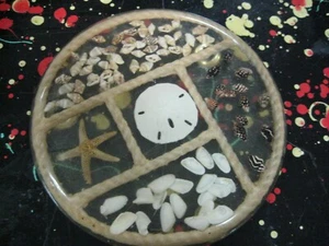Resin Hot Plate Beach Theme with Embedded Shells, Rope, Sand Dollar - Picture 1 of 5