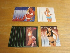 Tiffany Richardson Model Lot of 16 Bench Warmer Trading Cards Benchwarmer