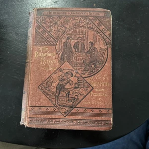 The Backwoods Boy or How a Young Railsplitter Became Pres 1883 Horatio Alger Jr - Imagen 1 de 20