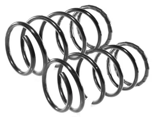 2x Schraubenfedern Hinten Rechts und Links für Chrysler/Dodge Neon 1999-2006 - Bild 1 von 23