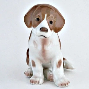 Real Copenhagen San Bernard Perro Elegante Gracioso Formal Lujo Dinamarca Japón - Imagen 1 de 8