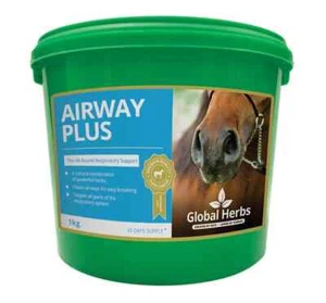Global Herbs Airway Plus Powder - Picture 1 of 4
