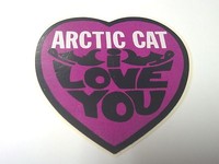 10pc Arctic Cat Firecat 700 Snowmobile Idler Wheel Bearing kit 2005-2006