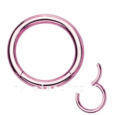 Pendiente aro anillo segmento sin costuras con bisagras cartílago labret tabique 16G 1/4"- 5/8" Foto 1 de 3