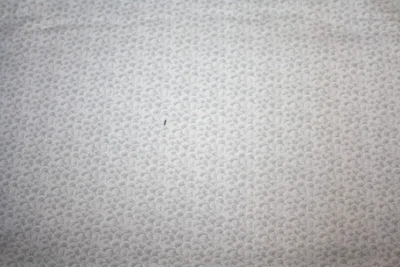 CLAMSHELL IN GRAY FROM JINNY BEYER - 100% COTTON FABRIC - Image 1 of 4