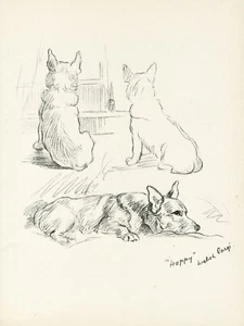 CORGI LOVELY OLD ORIGINAL DOG ART PRINT PAGE by MAC LUCY DAWSON - Picture 1 of 1