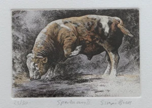 Simon Bull. Signed, Limited Etching. Spartacus II. 23/30 - Picture 1 of 4