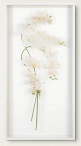 Unique ACRYLIC! White SHADOW BOX! "Study of Orchids I" Wall Art - Picture 1 of 7