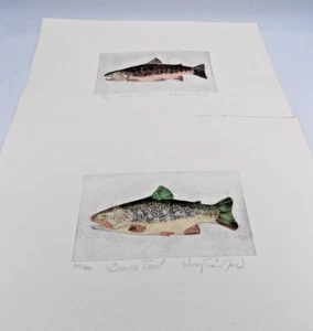 2 quadri trota--trota marrone e ruscello-inchiostro e acquerello- firmati e numerati - Foto 1 di 7