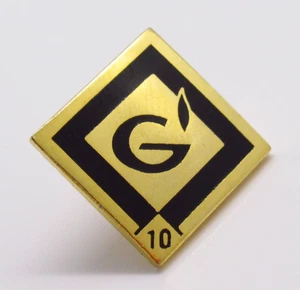 Pin de solapa tono dorado logotipo de llama G 10 años de servicio reconocimiento marco negro - Imagen 1 de 6