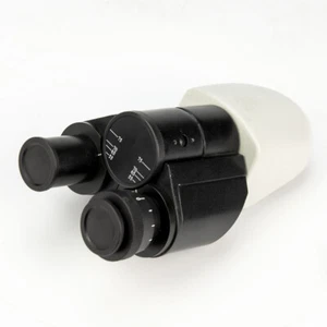 Articulated Free Binocular View Head for Biological Microscope with 10X Eyepiece - Picture 1 of 9