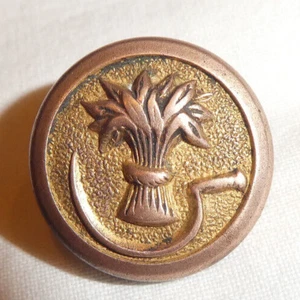 Antique D. Evans & Co. Wheat Scythe Sickle Brass Metal Button