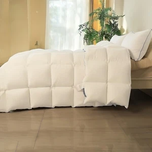 Ultra-Soft down Comforter King Size, Luxurious All-Season Duvet Insert, 650 Fill - Picture 1 of 7
