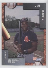 1992 Fleer ProCards Minor League Jeff McNeely #447