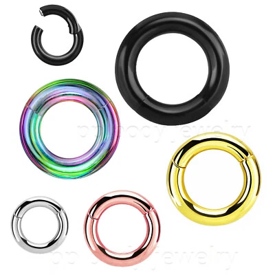 Hinged Clicker Segment Ring PVD Surgical Steel Ear Lip Nose Septum Ring 20G-2G - Image 1 of 4