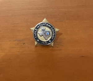 Lapel Pin - Eagle Mountain Saginaw school District - Picture 1 of 5