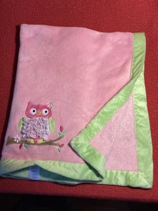 Coperta bambino Koala Baby 2013 rosa verde gufo peluche volant 30”x 40” - Foto 1 di 3