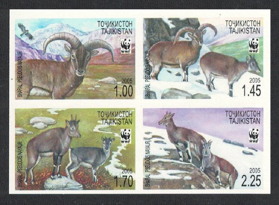 Tayikistán WWF Bharal Bloque de 4 imperf 2005 MNH Sc#266 a-d SG#282-285 Foto 1 de 1