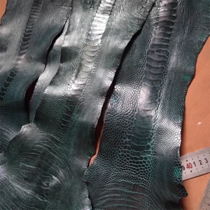 1X Genuine Ostrich Leg Skin Leather Hide Exotic Leather DIY Craft Emerald Green - Picture 1 of 12
