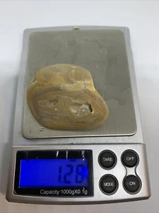 crowley ridge rock agate pattern fortified not polished oz 1.28 1 1/2x 1/ 14 .6 - Imagen 1 de 3