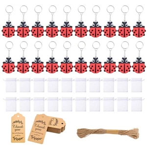 Stylish Ladybugs Theme Keychains Collection Party Guests Souvenirs - Picture 1 of 8