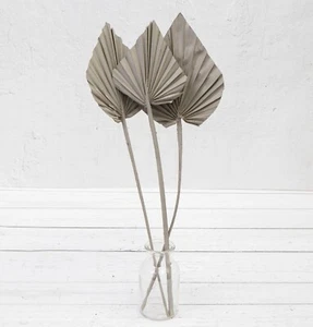 Mazzo 3 Lance Foglie Sole Palma Secche Naturali Grigio Foglia Alta Confezione Fiore 45cm - Foto 1 di 3